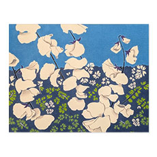 ���z�u�X�C�[�g�s�[�v2026�i55�~45cm�j